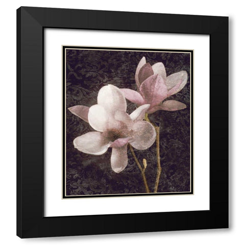 Pink Magnolias I Black Modern Wood Framed Art Print with Double Matting by Seba, John