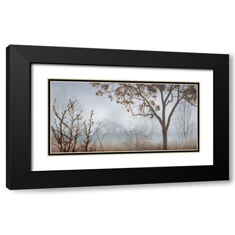 Early Morning Mist I Black Modern Wood Framed Art Print with Double Matting by Seba, John