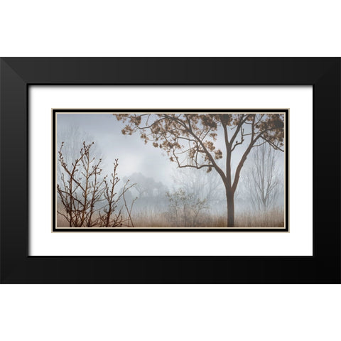 Early Morning Mist I Black Modern Wood Framed Art Print with Double Matting by Seba, John