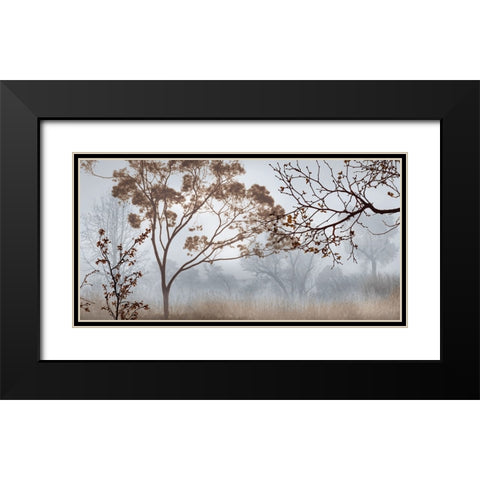 Early Morning Mist II Black Modern Wood Framed Art Print with Double Matting by Seba, John