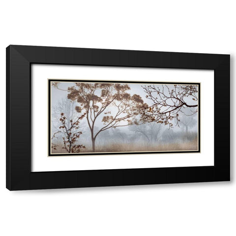 Early Morning Mist II Black Modern Wood Framed Art Print with Double Matting by Seba, John
