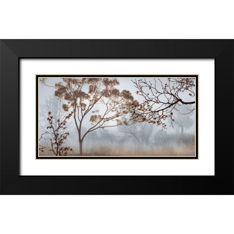 Early Morning Mist II Black Modern Wood Framed Art Print with Double Matting by Seba, John