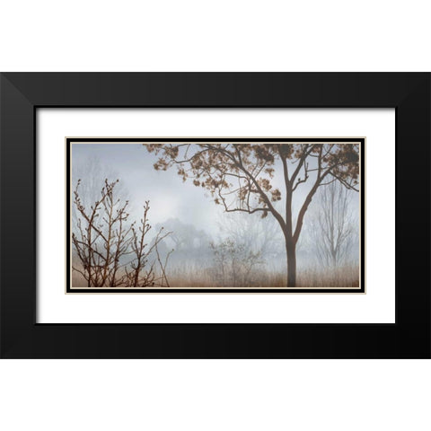 Early Morning Mist I Black Modern Wood Framed Art Print with Double Matting by Seba, John
