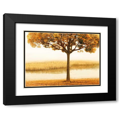 Golden Morning I Black Modern Wood Framed Art Print with Double Matting by Seba, John