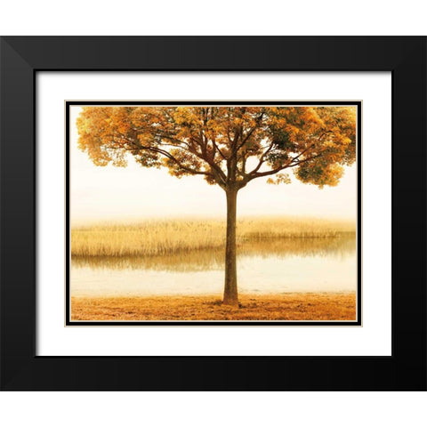 Golden Morning I Black Modern Wood Framed Art Print with Double Matting by Seba, John