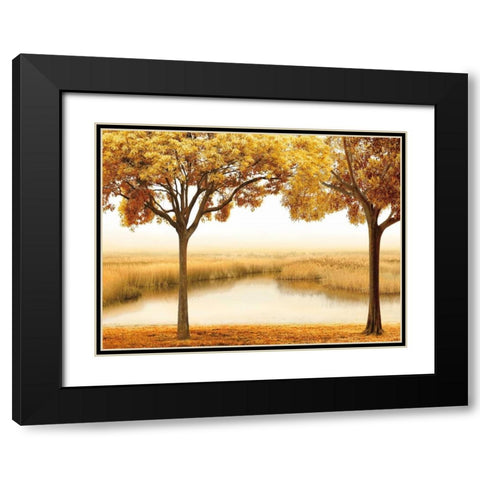 Golden Morning II Black Modern Wood Framed Art Print with Double Matting by Seba, John
