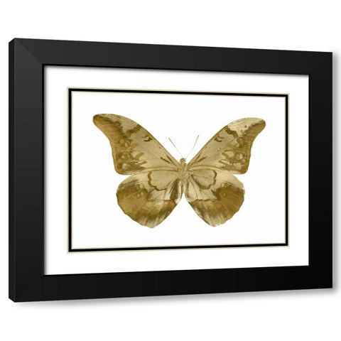 Golden Butterfly III Black Modern Wood Framed Art Print with Double Matting by Bosco, Julia