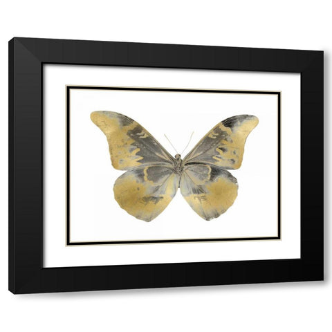 Golden Butterfly II Black Modern Wood Framed Art Print with Double Matting by Bosco, Julia