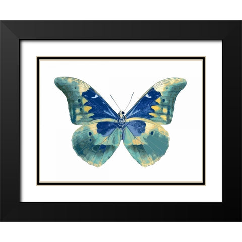 Butterfly in Aqua I Black Modern Wood Framed Art Print with Double Matting by Bosco, Julia