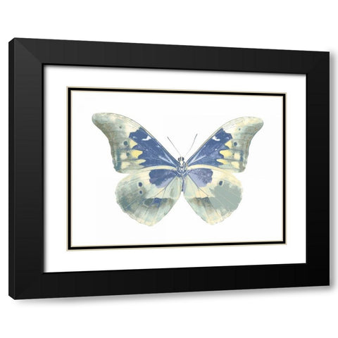 Butterfly in Aqua II Black Modern Wood Framed Art Print with Double Matting by Bosco, Julia