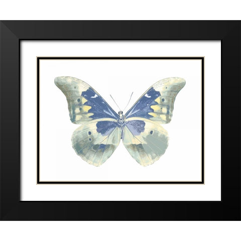 Butterfly in Aqua II Black Modern Wood Framed Art Print with Double Matting by Bosco, Julia