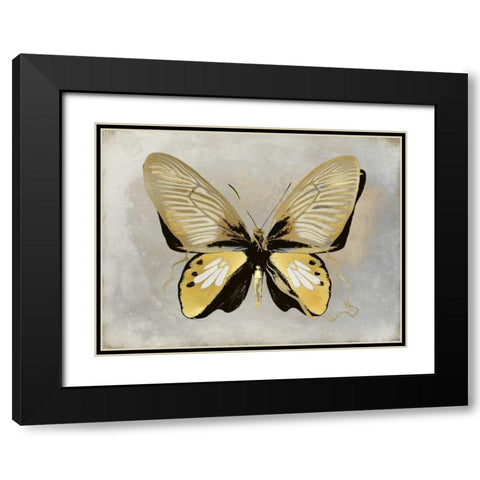 Butterfly Study I Black Modern Wood Framed Art Print with Double Matting by Bosco, Julia
