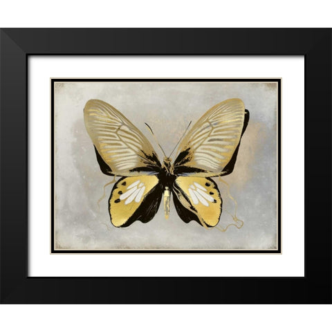 Butterfly Study I Black Modern Wood Framed Art Print with Double Matting by Bosco, Julia