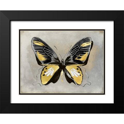 Butterfly Study III Black Modern Wood Framed Art Print with Double Matting by Bosco, Julia