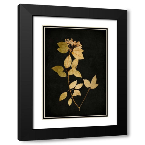 Golden Nature VI Black Modern Wood Framed Art Print with Double Matting by Bennett, Kate
