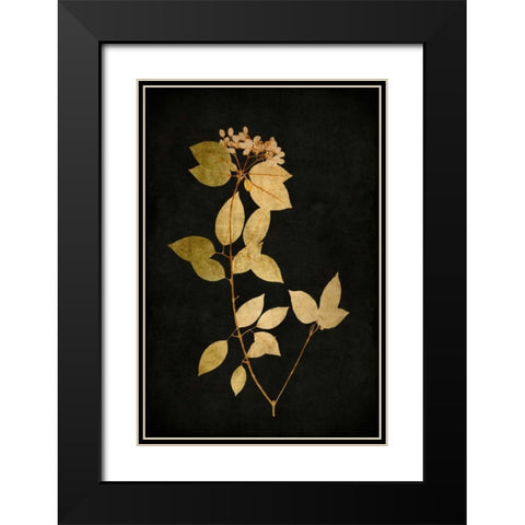 Golden Nature VI Black Modern Wood Framed Art Print with Double Matting by Bennett, Kate