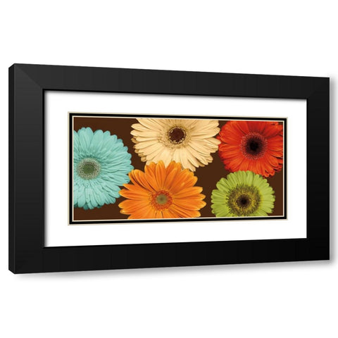 Daisys Friends Black Modern Wood Framed Art Print with Double Matting by Blake, Lindsay