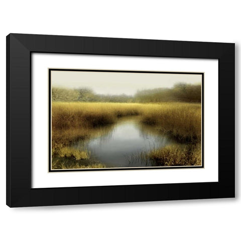 Tranquil Pond Black Modern Wood Framed Art Print with Double Matting by Clark, Madeline