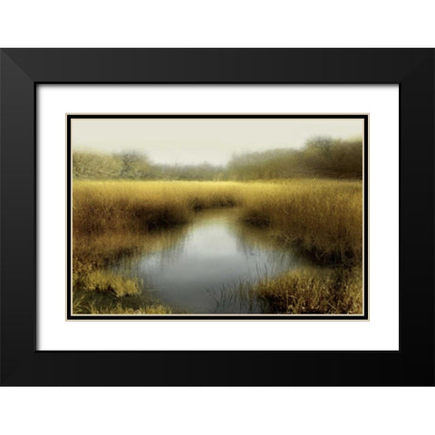 Tranquil Pond Black Modern Wood Framed Art Print with Double Matting by Clark, Madeline