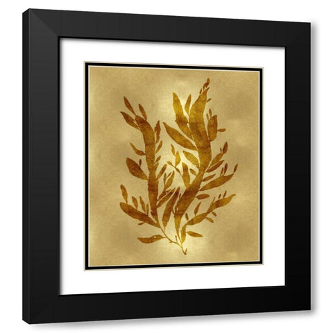 Sea Life - Gold IV Black Modern Wood Framed Art Print with Double Matting by Miller, Melonie