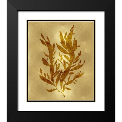 Sea Life - Gold IV Black Modern Wood Framed Art Print with Double Matting by Miller, Melonie