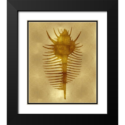 Sea Life - Gold VI Black Modern Wood Framed Art Print with Double Matting by Miller, Melonie