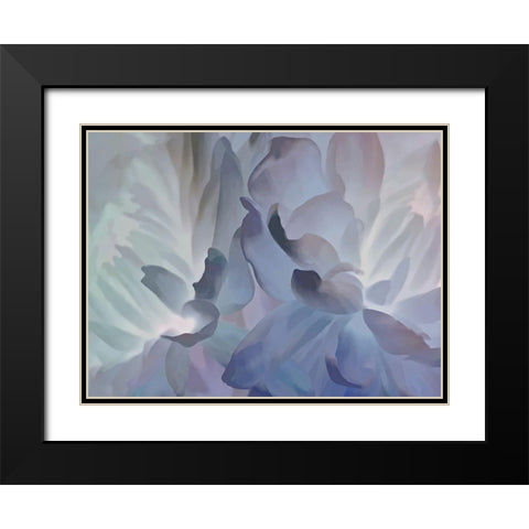 Chrysanthemum VI Black Modern Wood Framed Art Print with Double Matting by Pollard, David