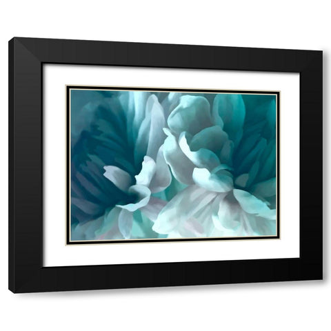 Chrysanthemum XVI Black Modern Wood Framed Art Print with Double Matting by Pollard, David