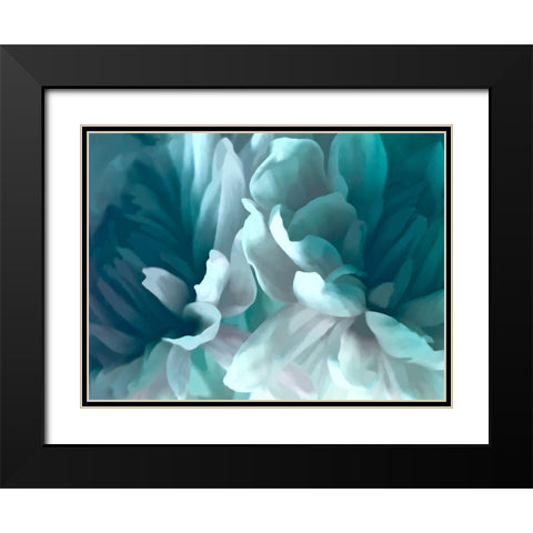 Chrysanthemum XVI Black Modern Wood Framed Art Print with Double Matting by Pollard, David