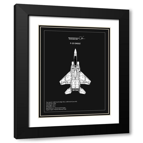 BP F15 Eagle Black  Black Modern Wood Framed Art Print with Double Matting by Rogan, Mark