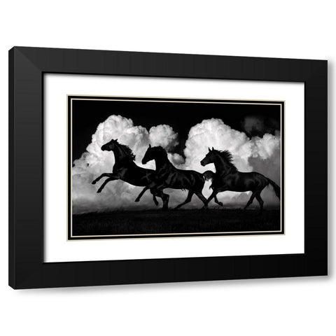 Wild Horses Black Modern Wood Framed Art Print with Double Matting by Carter, Samantha