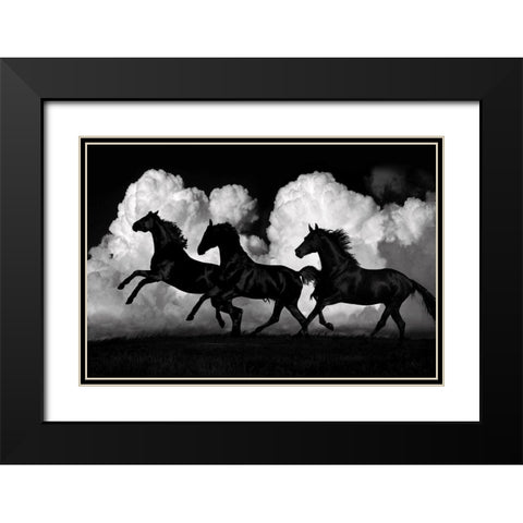 Wild Horses Black Modern Wood Framed Art Print with Double Matting by Carter, Samantha