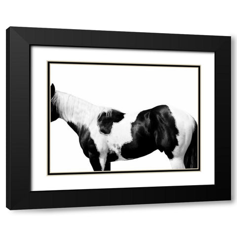 Pinto Black Modern Wood Framed Art Print with Double Matting by Carter, Samantha