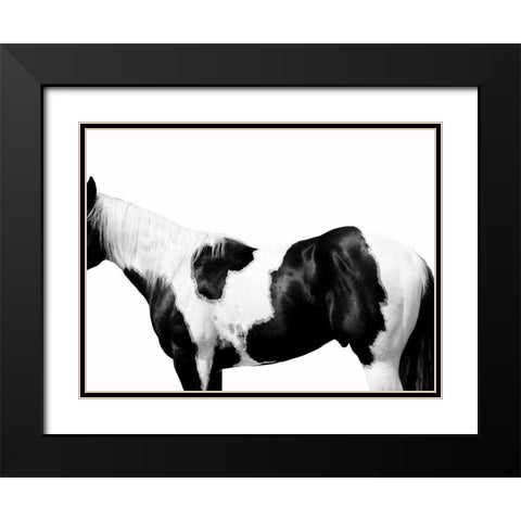 Pinto Black Modern Wood Framed Art Print with Double Matting by Carter, Samantha