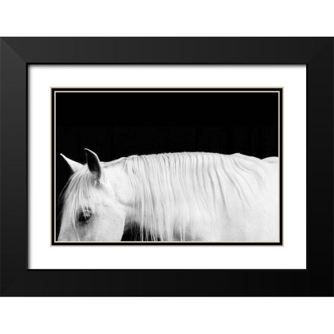 White on Black I Black Modern Wood Framed Art Print with Double Matting by Carter, Samantha