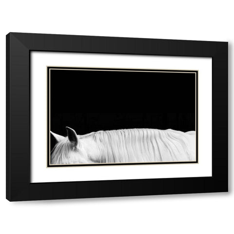 White on Black II Black Modern Wood Framed Art Print with Double Matting by Carter, Samantha