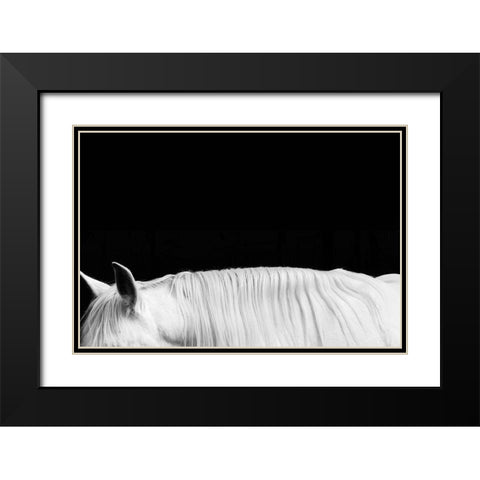 White on Black II Black Modern Wood Framed Art Print with Double Matting by Carter, Samantha