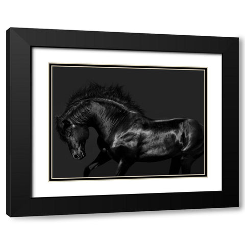 Black on Black Black Modern Wood Framed Art Print with Double Matting by Carter, Samantha