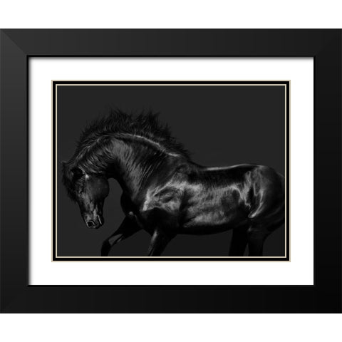 Black on Black Black Modern Wood Framed Art Print with Double Matting by Carter, Samantha