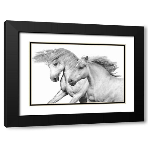 Duo I Black Modern Wood Framed Art Print with Double Matting by Carter, Samantha