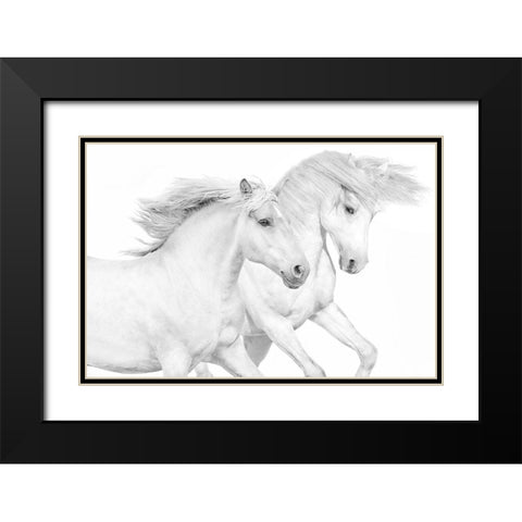 Duo II Black Modern Wood Framed Art Print with Double Matting by Carter, Samantha