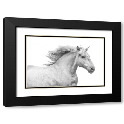 Solo I Black Modern Wood Framed Art Print with Double Matting by Carter, Samantha