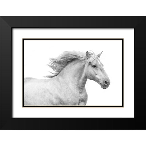 Solo I Black Modern Wood Framed Art Print with Double Matting by Carter, Samantha