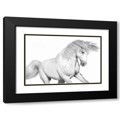 Solo II Black Modern Wood Framed Art Print with Double Matting by Carter, Samantha