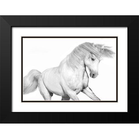 Solo II Black Modern Wood Framed Art Print with Double Matting by Carter, Samantha