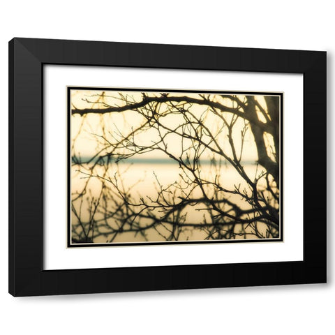 Aspen Sunset Black Modern Wood Framed Art Print with Double Matting by Plank, Savanah