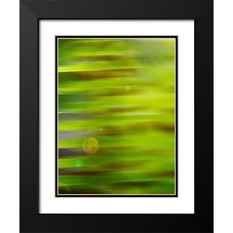 Abstract green flora Black Modern Wood Framed Art Print with Double Matting by Plank, Savanah