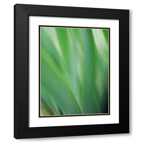 Green flora motion Black Modern Wood Framed Art Print with Double Matting by Plank, Savanah