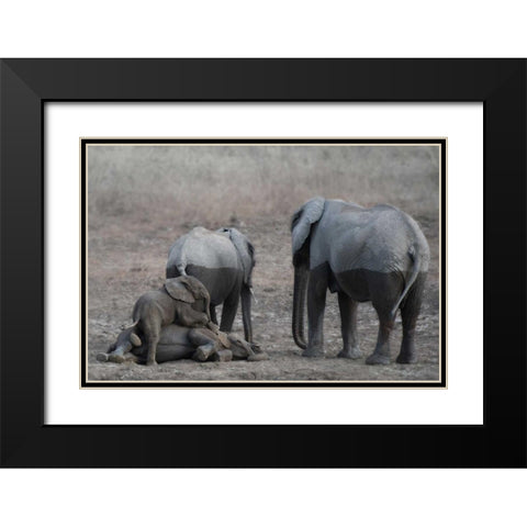 Brothers at Play Black Modern Wood Framed Art Print with Double Matting by Bennion, Scott