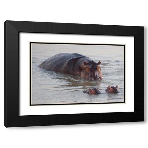 Class is in Session Black Modern Wood Framed Art Print with Double Matting by Bennion, Scott